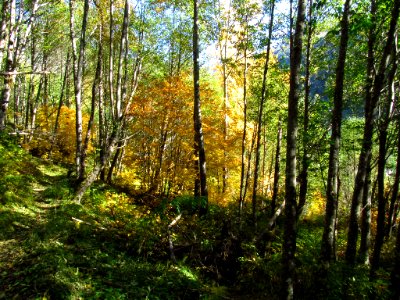 Coldwater Lake Loop Trail in WA