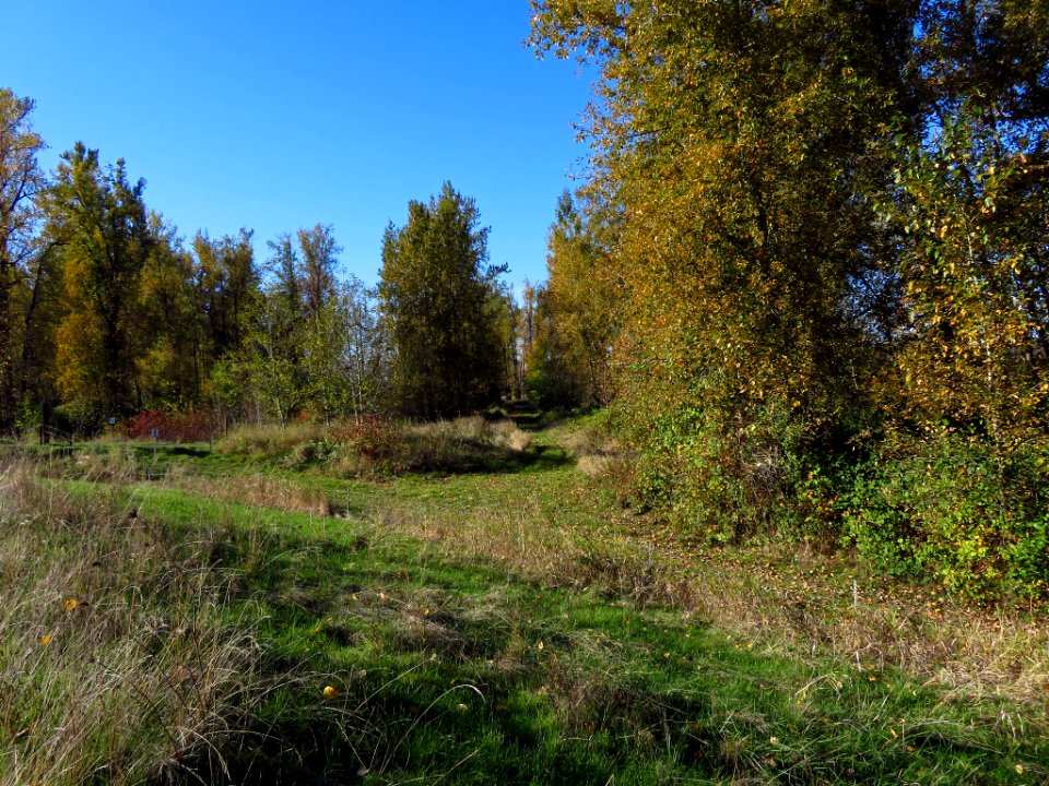 Autumn at Steigerwald Lake NWR in WA