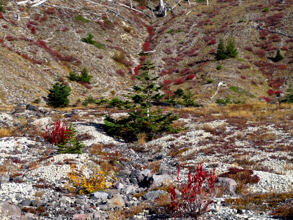 Plains of Abraham Trail in WA
