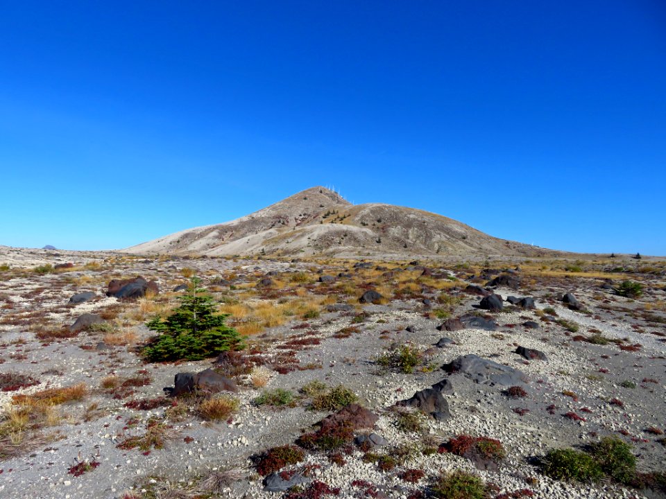Plains of Abraham Trail in WA