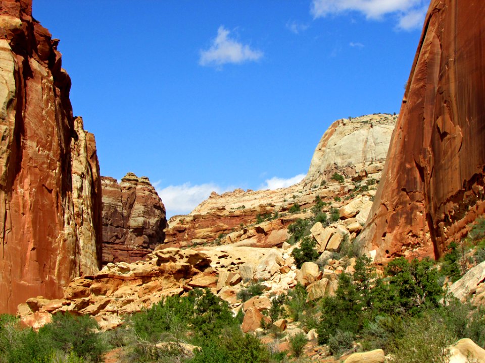 Capitol Reef NP in Utah