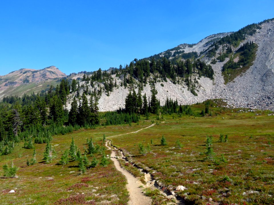 Goat Rocks Wilderness in WA