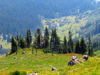Goat Rocks Wilderness in WA