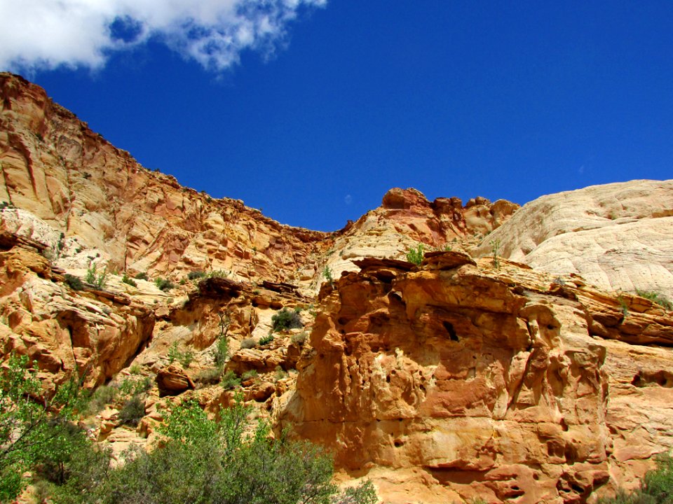 Capitol Reef NP in Utah