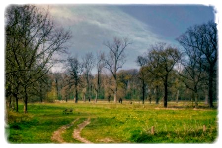 Park