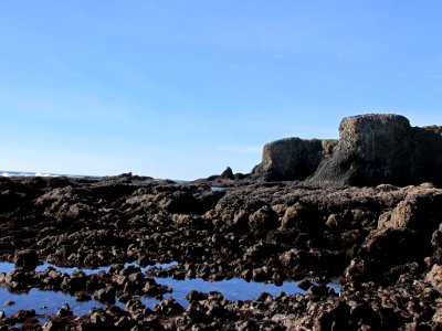 Tidal Pool at Yaquina Head in OR