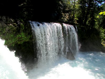 Spirit Falls Trail on Little White Salmon River in WA photo