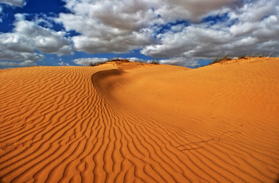 Ripples dry desert