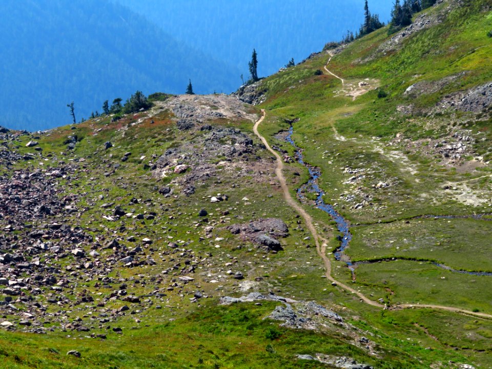 Goat Rocks Wilderness in WA