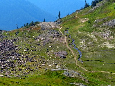 Goat Rocks Wilderness in WA