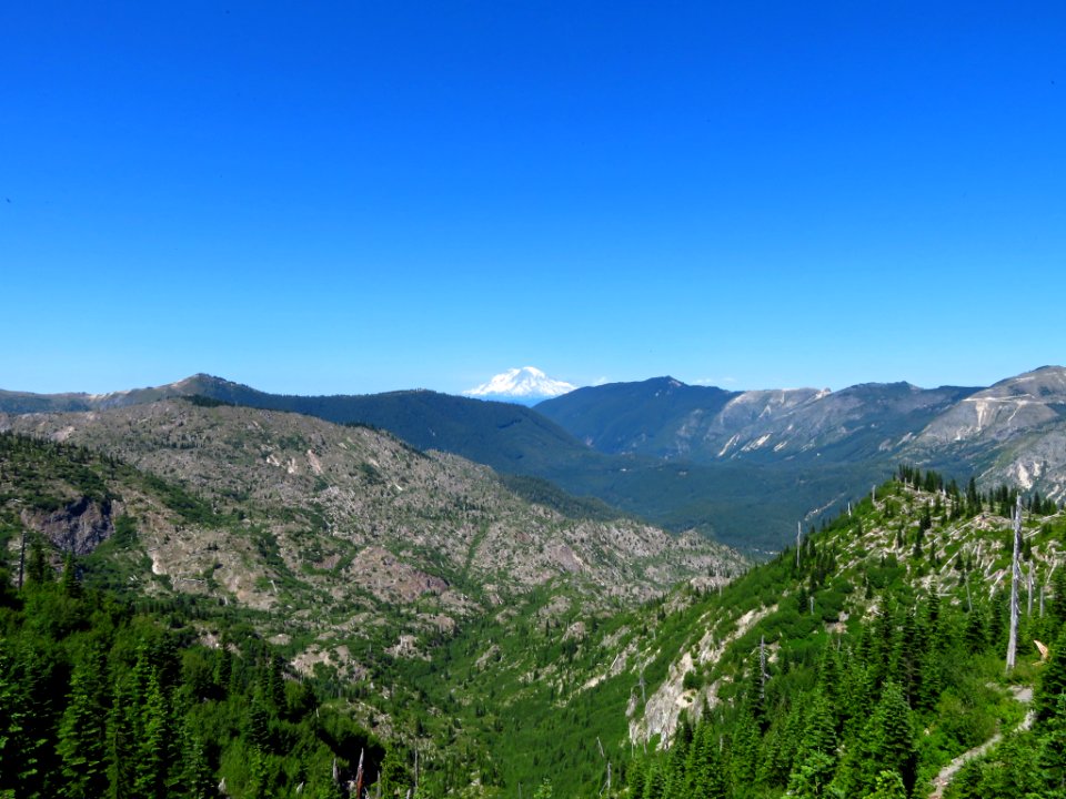 Lakes Trail at Mt. Margaret Backcountry in WA