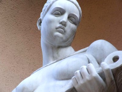 Public Domain Dedication CC0 t5242