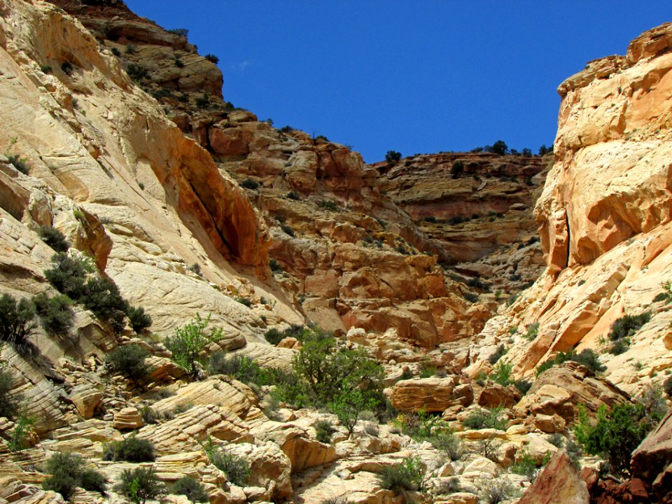 Capitol Reef NP in Utah