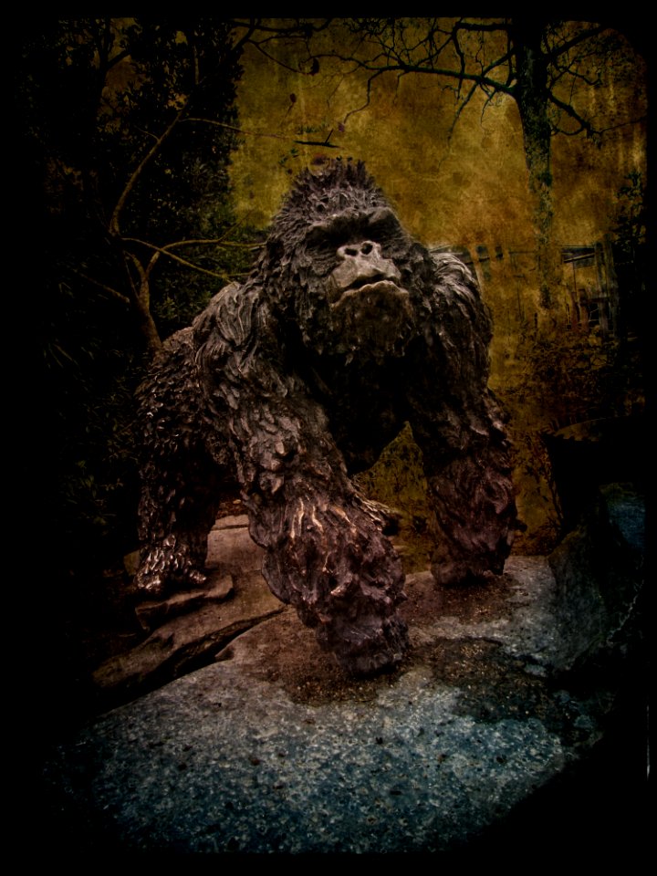 Gorilla in the Park photo