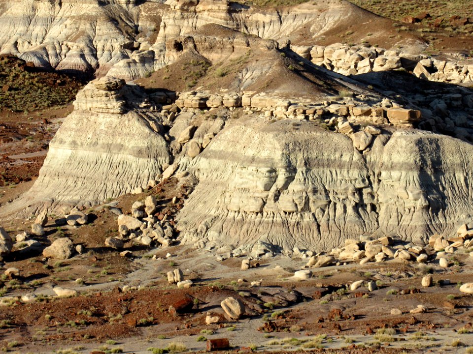 Jasper Forest at Petrified Forest NP in Arizona