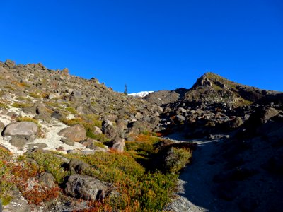 Mt. St. Helens Summit Trail in WA
