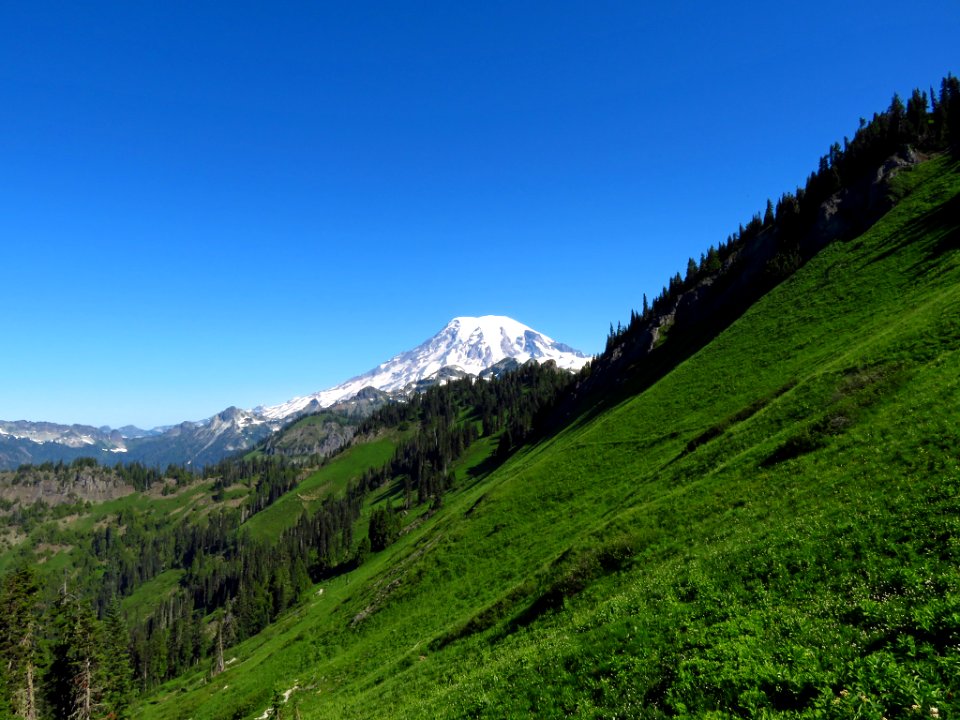 Mt. Rainier on Tatoosh Peak Trail in WA