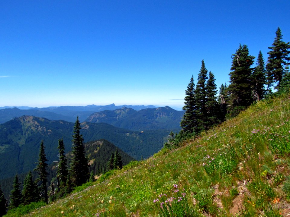 Tatoosh Wilderness in WA