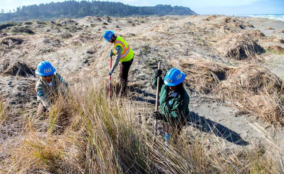 Mike Thompson Wildlife Area, South Spit Humboldt Bay