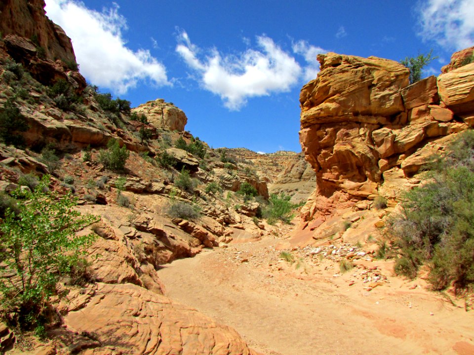 Capitol Reef NP in Utah