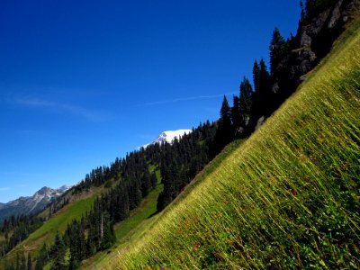 Mt. Rainier at Tatoosh Wilderness in WA