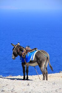 Santorini vacations sea view