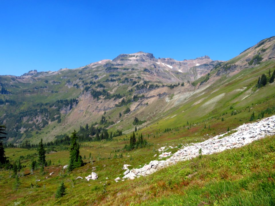 Goat Rocks Wilderness in WA