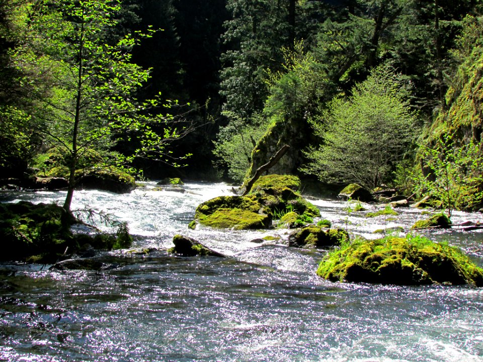 Spirit Falls Trail on Little White Salmon River in WA
