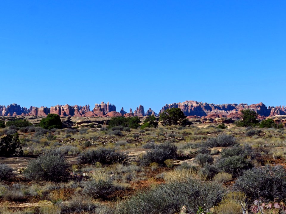 Needles District at Canyonlands NP in Utah