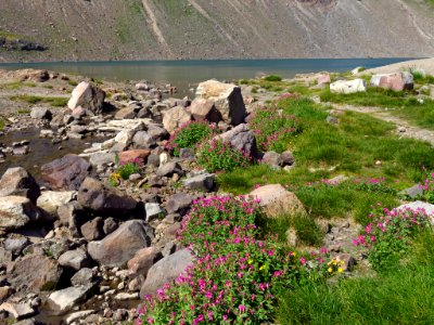 Goat Rocks Wilderness in WA