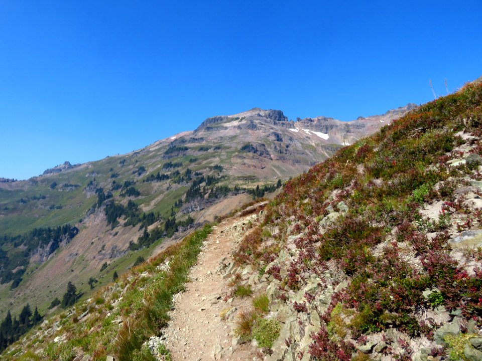 Goat Rocks Wilderness in WA