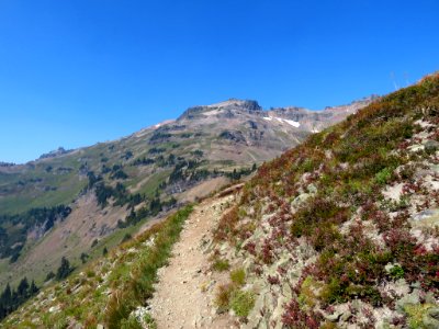 Goat Rocks Wilderness in WA