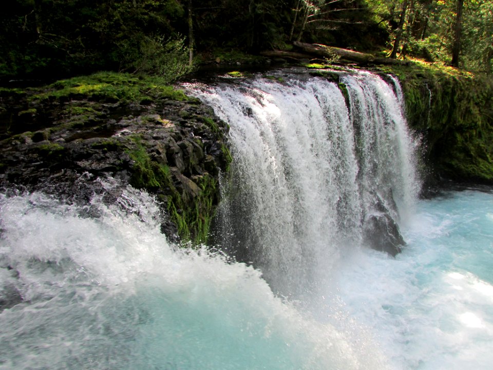 Spirit Falls Trail on Little White Salmon River in WA