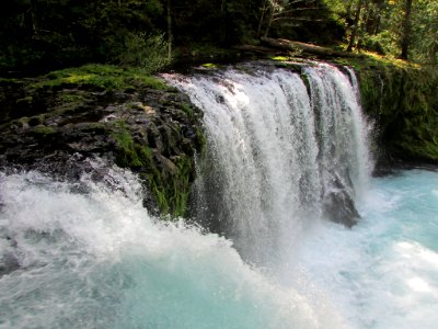 Spirit Falls Trail on Little White Salmon River in WA