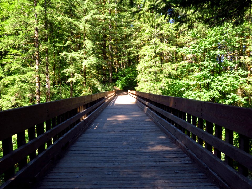 Moulton Bridge at Lewis River in WA