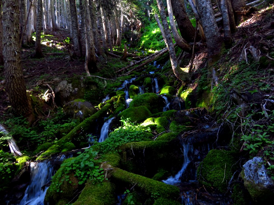 Waterfall at Mt. Rainier NP in WA