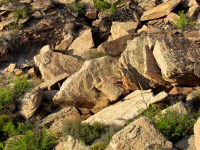 Newspaper Rock at Petrified Forest NP in Arizona photo