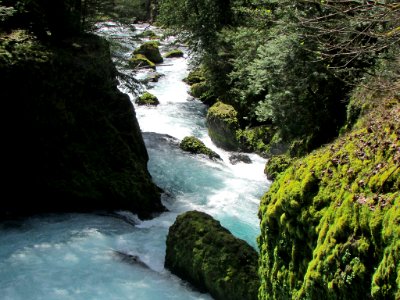 Spirit Falls Trail on Little White Salmon River in WA