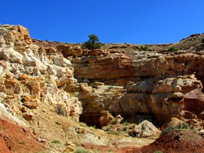 Capitol Reef NP in Utah photo