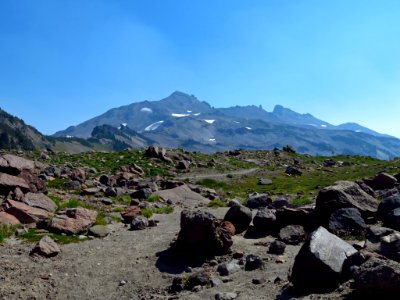 Goat Rocks Wilderness in WA