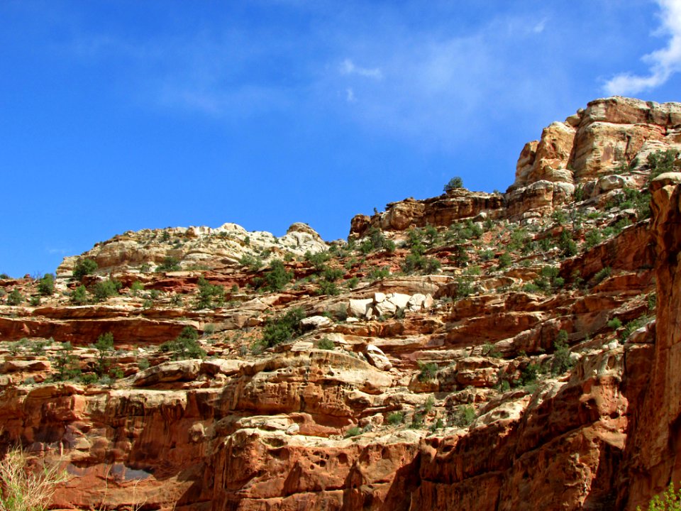 Capitol Reef NP in Utah