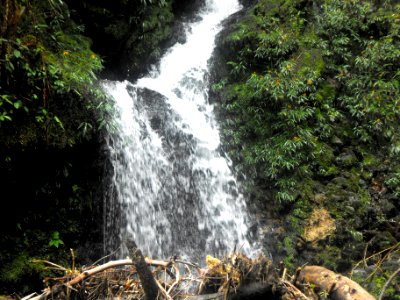 DSCF0120