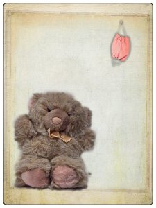 Ceci n'est pas un Ours