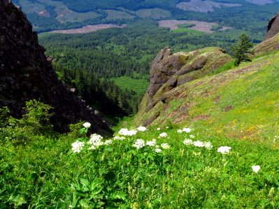 Saddle Mountain Trail in OR