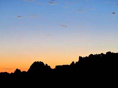 Sunset at Joshua Tree NP in CA