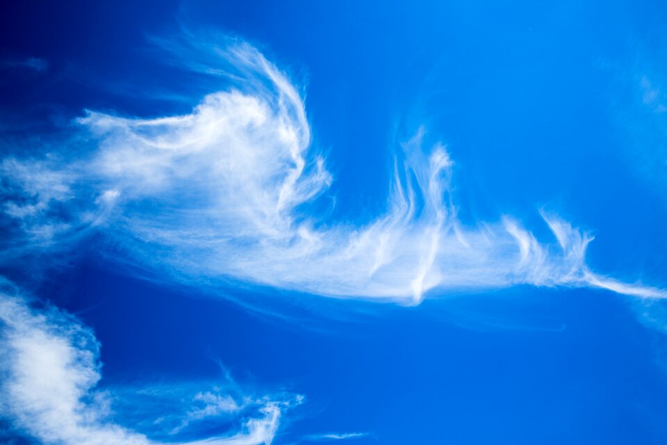 Beautiful blue white