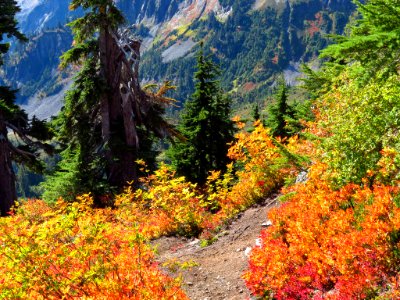 Autumn at Artist Point in WA photo