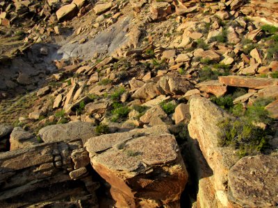 Newspaper Rock at Petrified Forest NP in Arizona