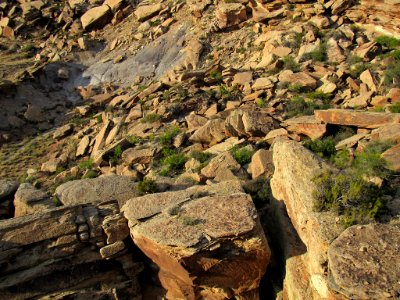 Newspaper Rock at Petrified Forest NP in Arizona photo