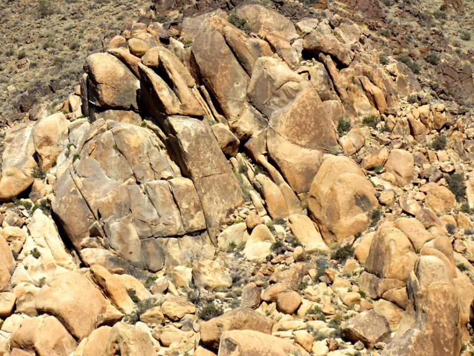 Joshua Tree NP in California